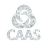 CAAS Consult and Services Logo